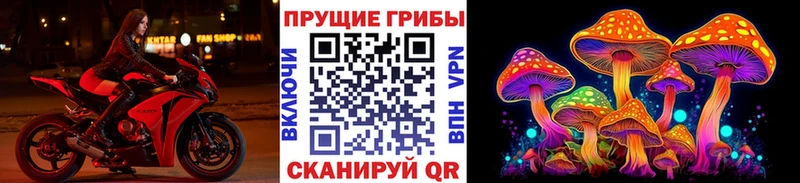 мега рабочий сайт Горячий Ключ Галлюциногенные грибы Psilocybine cubensis закладка